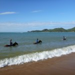 The daily horse dip on Magnetic Island